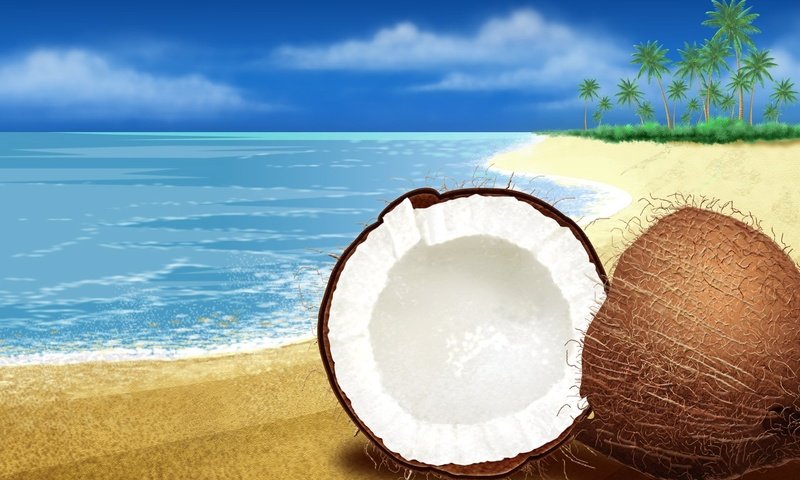 Обои море, песок, кокос, sea, sand, coconut разрешение 1920x1200 Загрузить