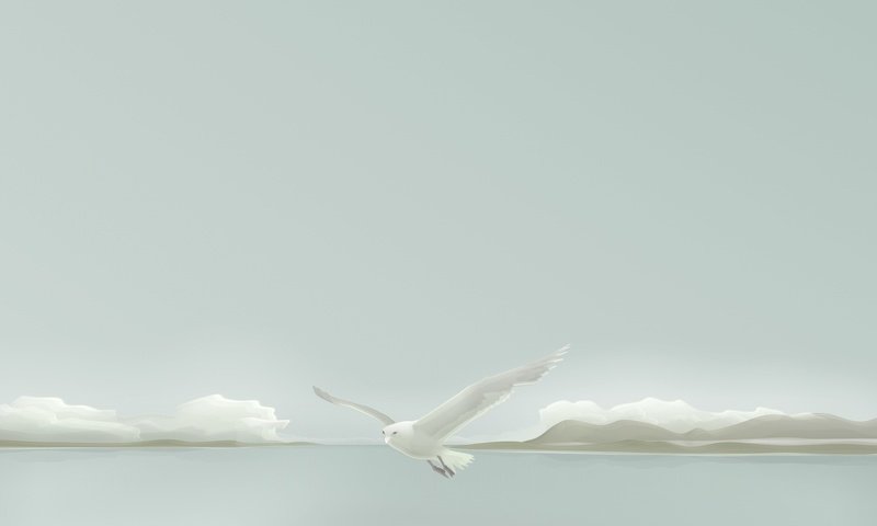 Обои вектор, чайка, минимализм, vector, seagull, minimalism разрешение 1920x1440 Загрузить