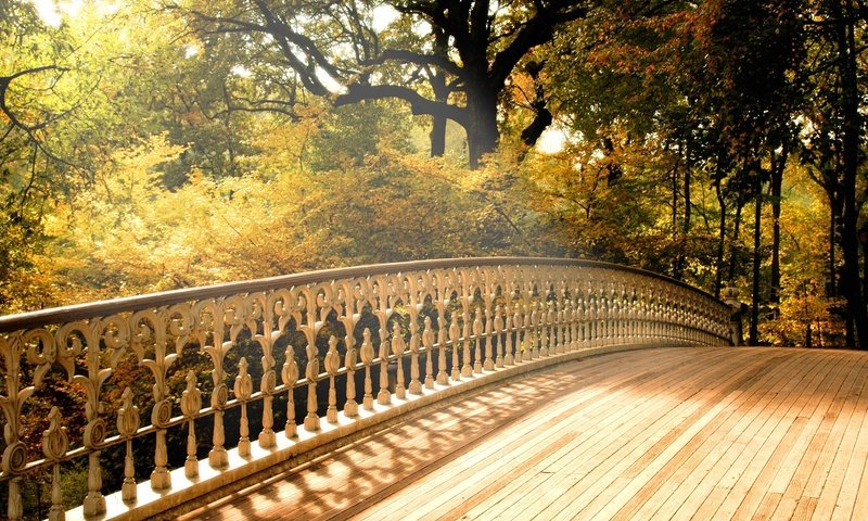 Обои деревья, мост, осень, trees, bridge, autumn разрешение 2000x1376 Загрузить