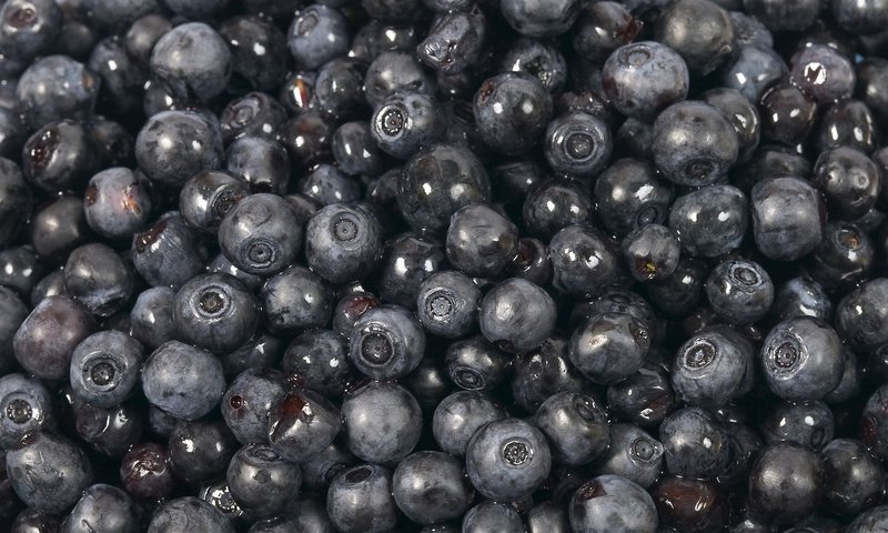 Обои ягоды, черника, лесные, berries, blueberries, forest разрешение 1920x1200 Загрузить