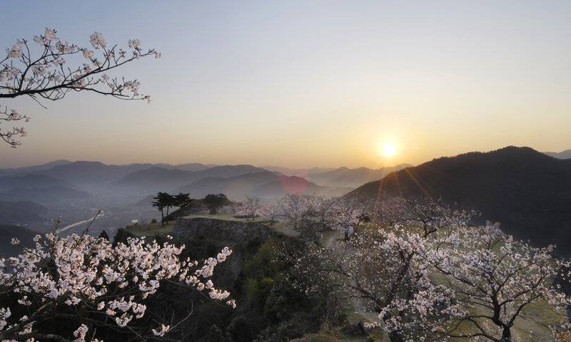 Обои горы, туман, япония, сакура, mountains, fog, japan, sakura разрешение 1920x1080 Загрузить