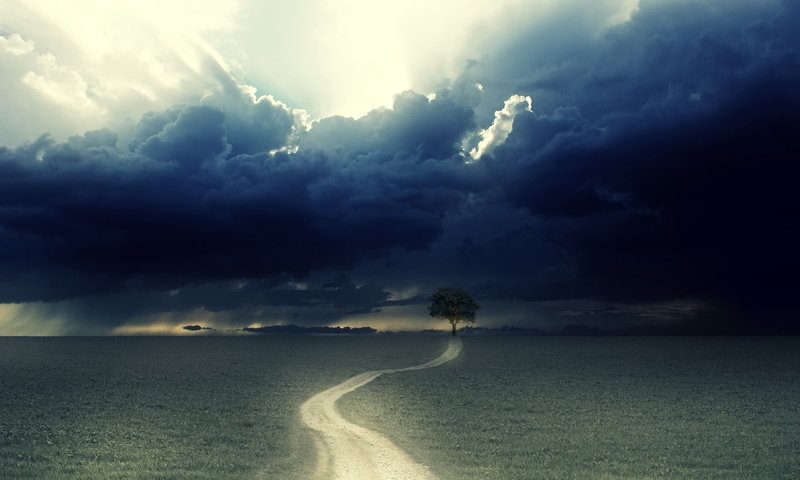 Обои дорога, дерево, гроза, road, tree, the storm разрешение 2560x1600 Загрузить