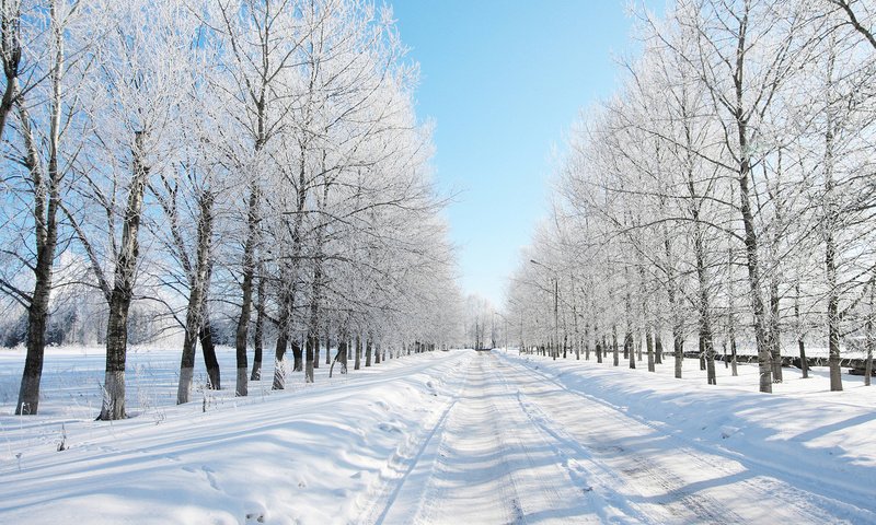 Обои дорога, деревья, снег, лес, зима, даль, road, trees, snow, forest, winter, dal разрешение 1920x1080 Загрузить