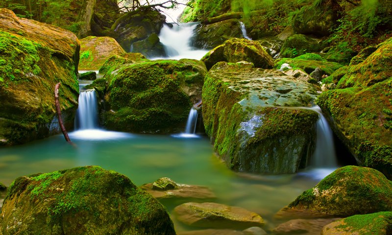 Обои лес, водопад, мох, forest, waterfall, moss разрешение 4752x3168 Загрузить