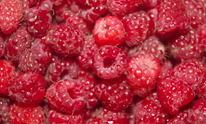 Обои малина, ягоды, raspberry, berries разрешение 1920x1200 Загрузить