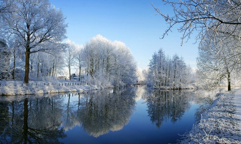 Обои деревья, снег, зима, отражение, пруд, trees, snow, winter, reflection, pond разрешение 1920x1080 Загрузить