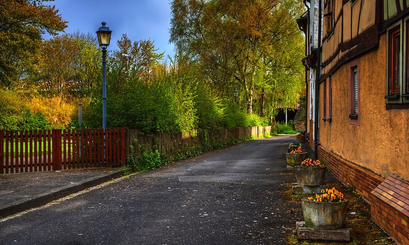 Обои деревья, осень, забор, улица, дом, фонарь, trees, autumn, the fence, street, house, lantern разрешение 1920x1200 Загрузить