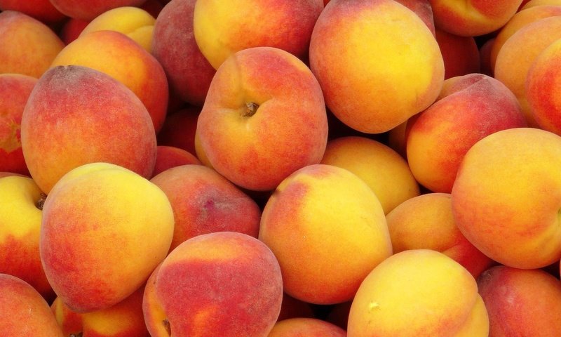 Обои фрукты, много, персики, спелые, сочные, сладкие, вкусные, fruit, a lot, peaches, ripe, juicy, sweet, delicious разрешение 2048x1536 Загрузить