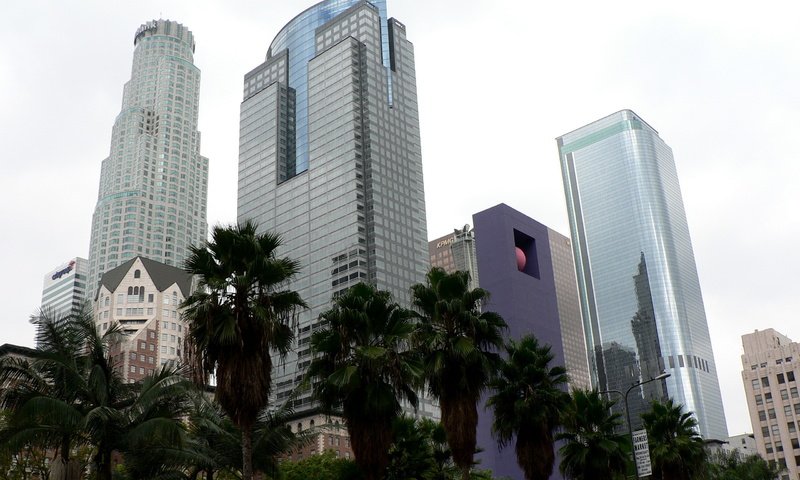 Обои отражение, небоскребы, пальмы, стекло, reflection, skyscrapers, palm trees, glass разрешение 2560x1920 Загрузить