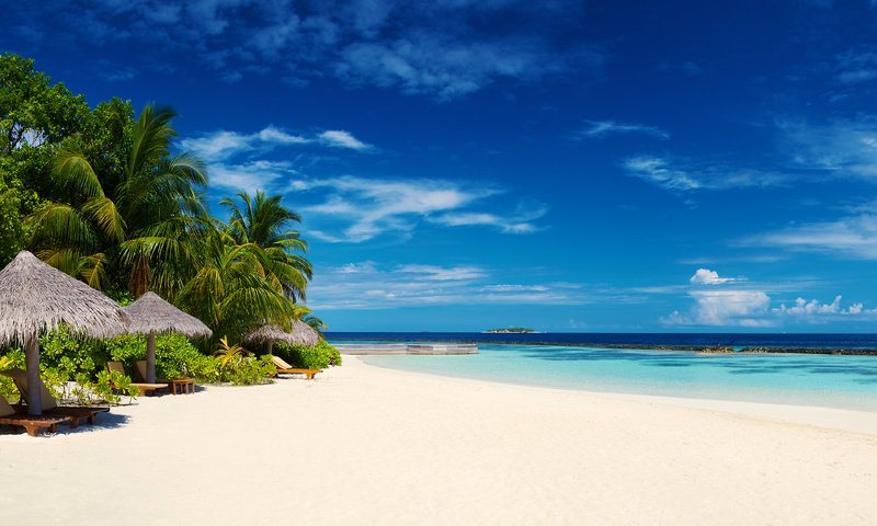 Обои пляж, пальмы, тропики, мальдивы, beach, palm trees, tropics, the maldives разрешение 3840x2400 Загрузить