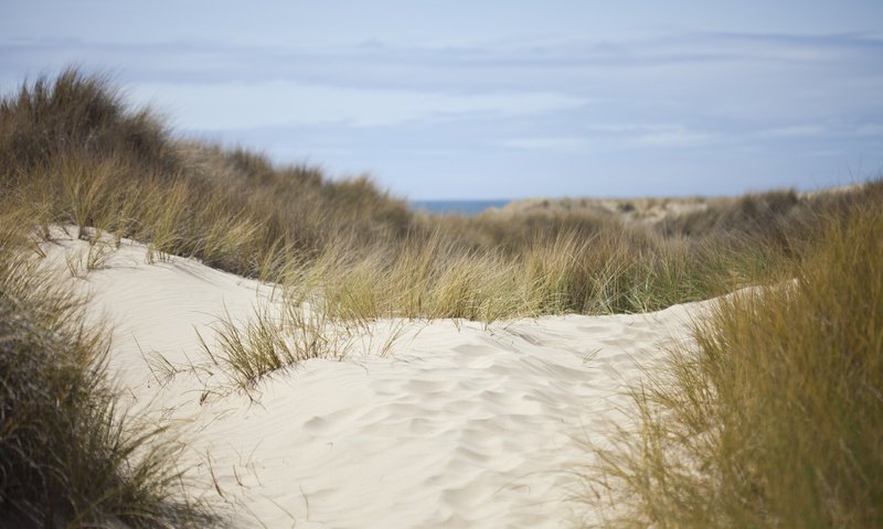 Обои небо, трава, природа, море, песок, дюны, the sky, grass, nature, sea, sand, dunes разрешение 2560x1600 Загрузить