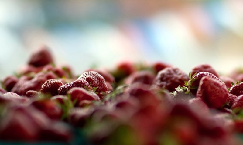 Обои макро, ягода, красная, клубника, много, свежая, macro, berry, red, strawberry, a lot, fresh разрешение 2560x1600 Загрузить