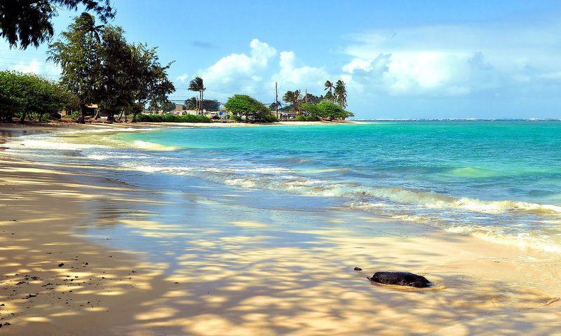 Обои пляж, тропики, мальдивы, beach, tropics, the maldives разрешение 1920x1080 Загрузить