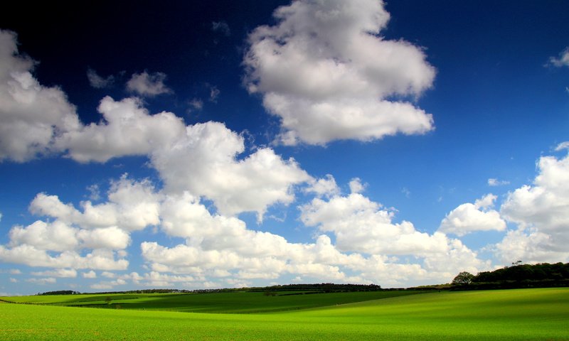 Обои небо, трава, облака, поле, горизонт, the sky, grass, clouds, field, horizon разрешение 5068x3379 Загрузить