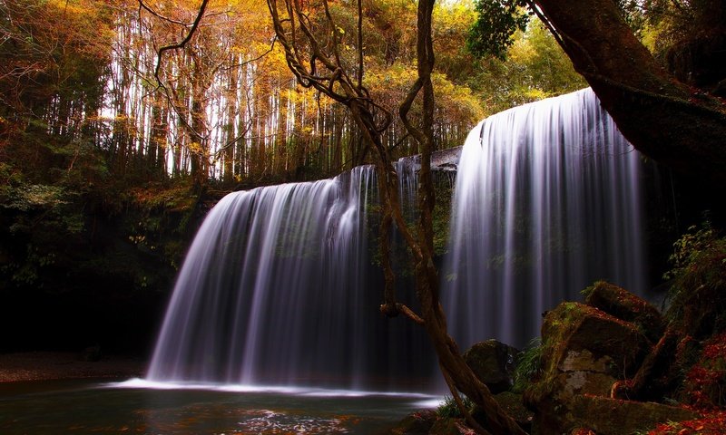 Обои деревья, природа, камни, лес, водопад, осень, лоза, красиво, trees, nature, stones, forest, waterfall, autumn, vine, beautiful разрешение 2560x1600 Загрузить