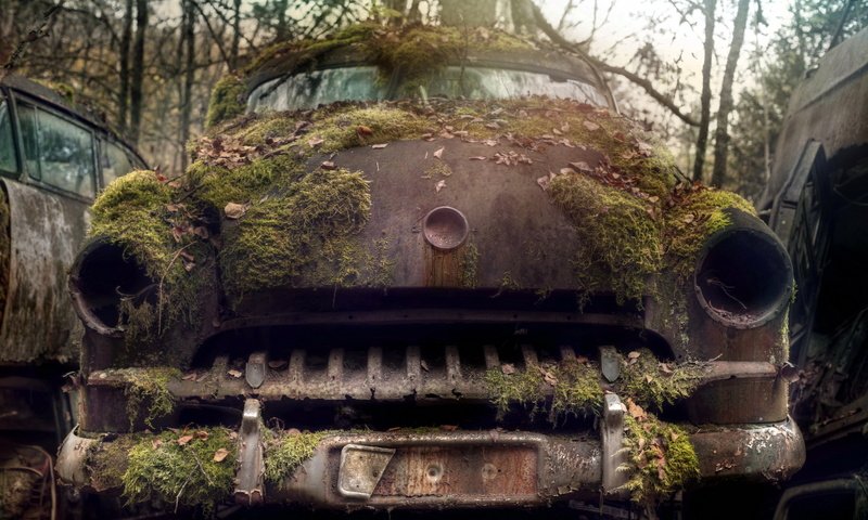 Обои машина, мох, лом, machine, moss, scrap разрешение 1920x1200 Загрузить