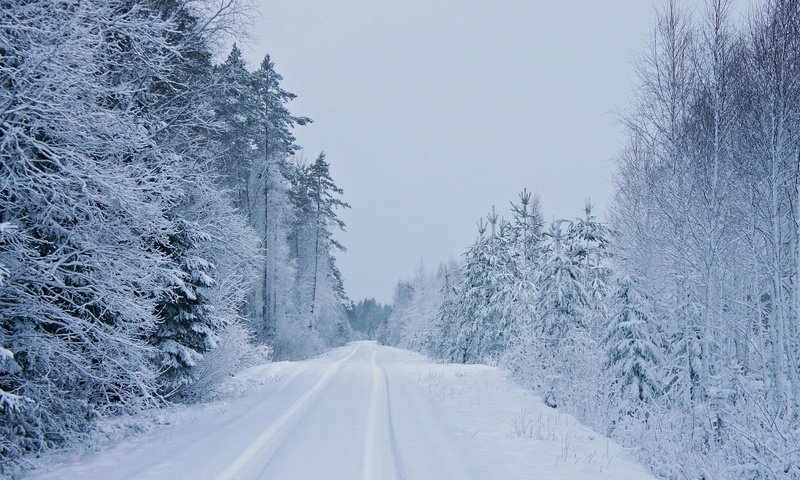 Обои дорога, деревья, зима, road, trees, winter разрешение 1920x1080 Загрузить