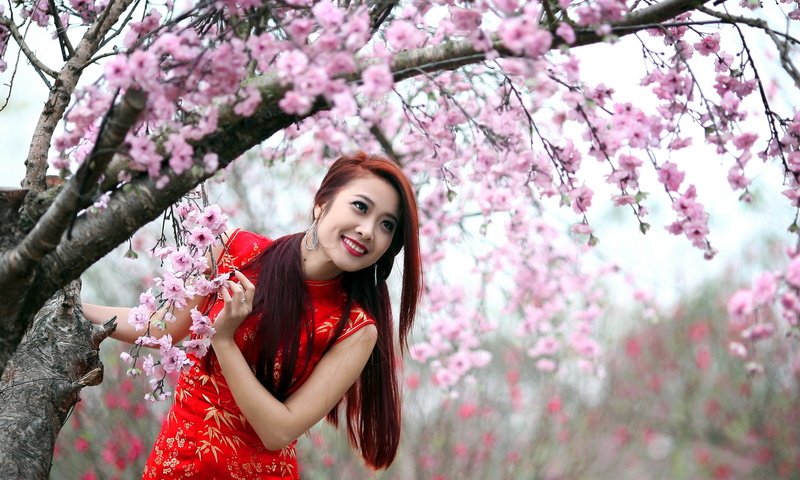 Обои девушка, фон, взгляд, весна, азиатка, girl, background, look, spring, asian разрешение 2560x1440 Загрузить