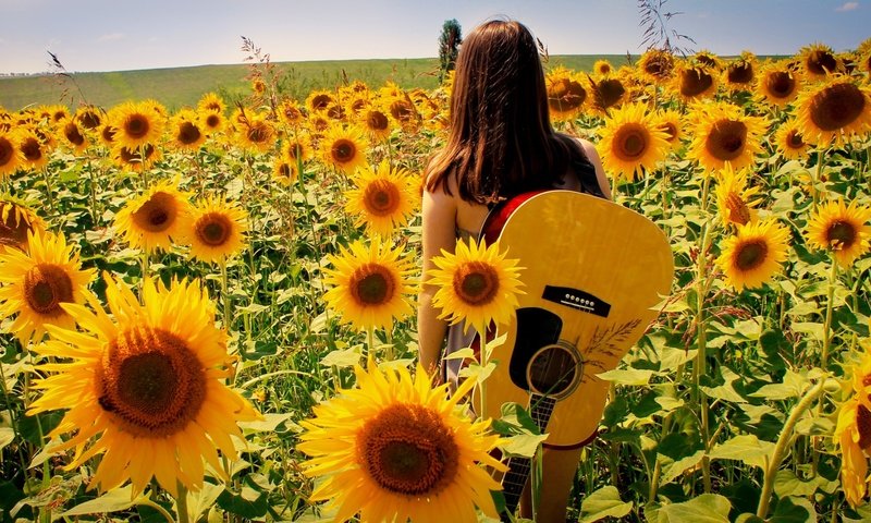 Обои девушка, поле, гитара, лето, подсолнухи, girl, field, guitar, summer, sunflowers разрешение 1920x1080 Загрузить