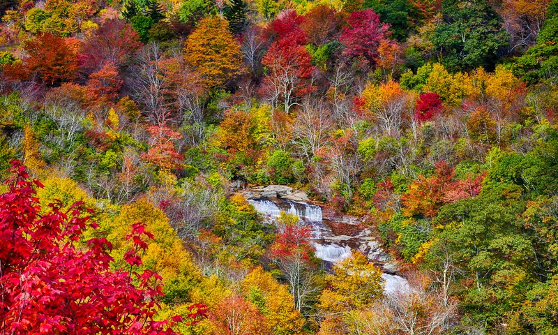 Обои деревья, осень, поток, речка, trees, autumn, stream, river разрешение 2048x1365 Загрузить