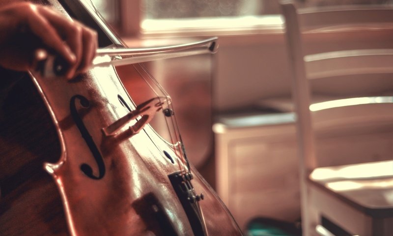 Обои музыка, струны, виолончель, смычок, nathan siemers, music, strings, cello, bow разрешение 1927x1280 Загрузить