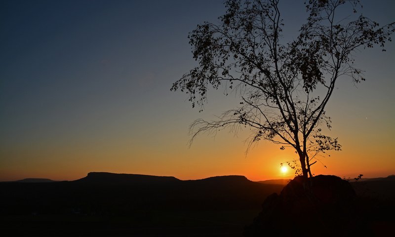 Обои небо, солнце, дерево, закат, силуэт, the sky, the sun, tree, sunset, silhouette разрешение 2048x1365 Загрузить