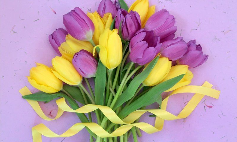 Обои цветы, букет, тюльпаны, лента, жёлтая, тульпаны,  цветы, парное, лиловая, flowers, bouquet, tulips, tape, yellow, fresh, purple разрешение 2880x1920 Загрузить
