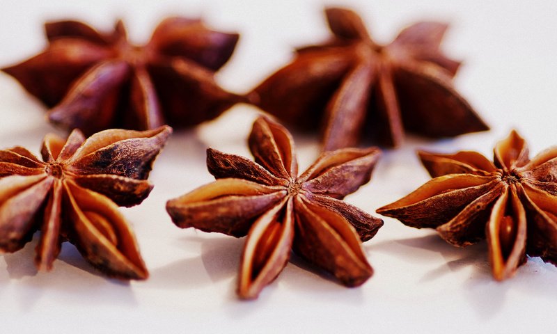 Обои макро, специи, приправы, анис, бадьян, специя, ~dgh~, macro, spices, seasoning, anis, star anise, spice разрешение 2048x1360 Загрузить