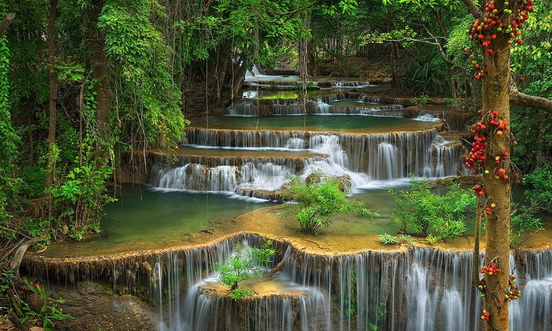 Обои зелень, лес, водопад, красота, поток, каскад, дремучий, greens, forest, waterfall, beauty, stream, cascade, dense разрешение 1920x1200 Загрузить