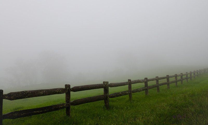 Обои трава, туман, поле, забор, ограждение, мгла, grass, fog, field, the fence, haze разрешение 2560x1600 Загрузить