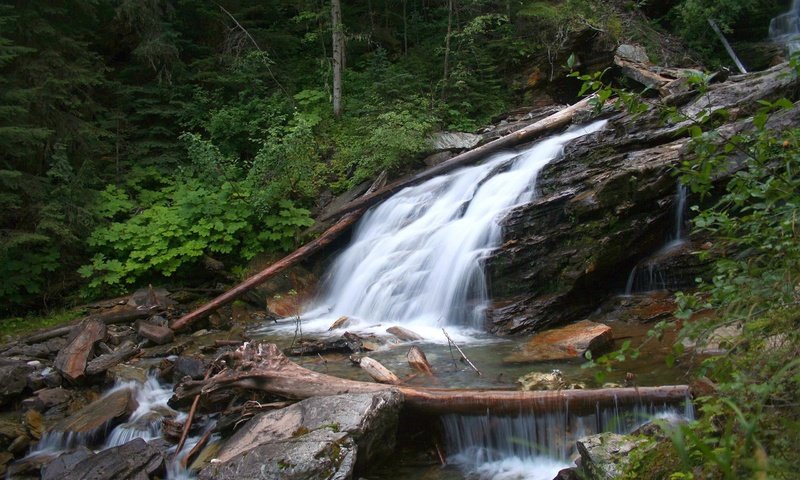 Обои деревья, природа, камни, лес, кусты, водопад, обломки, речка, trees, nature, stones, forest, the bushes, waterfall, the wreckage, river разрешение 2560x1600 Загрузить