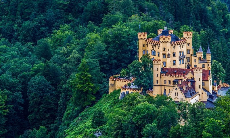 Обои лес, замок, германия, бавария, хоэншвангау, красочная, forest, castle, germany, bayern, hohenschwangau, colorful разрешение 2560x1600 Загрузить