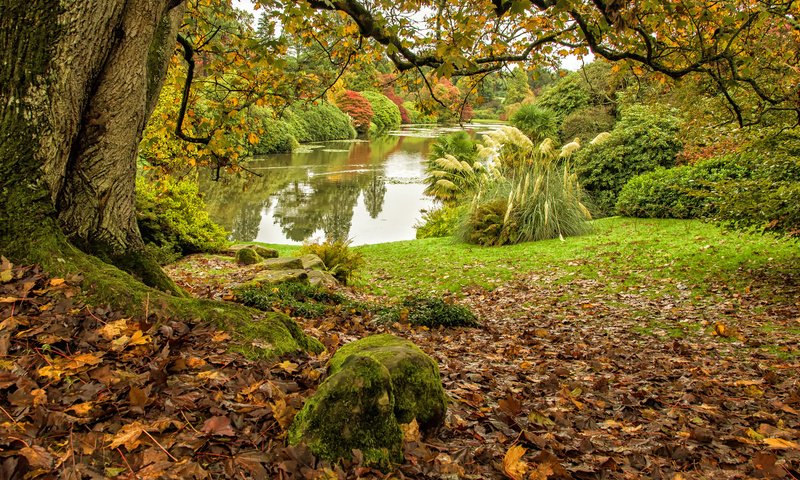 Обои деревья, озеро, пейзаж, осень, middle lake, sheffield park, trees, lake, landscape, autumn разрешение 2048x1356 Загрузить