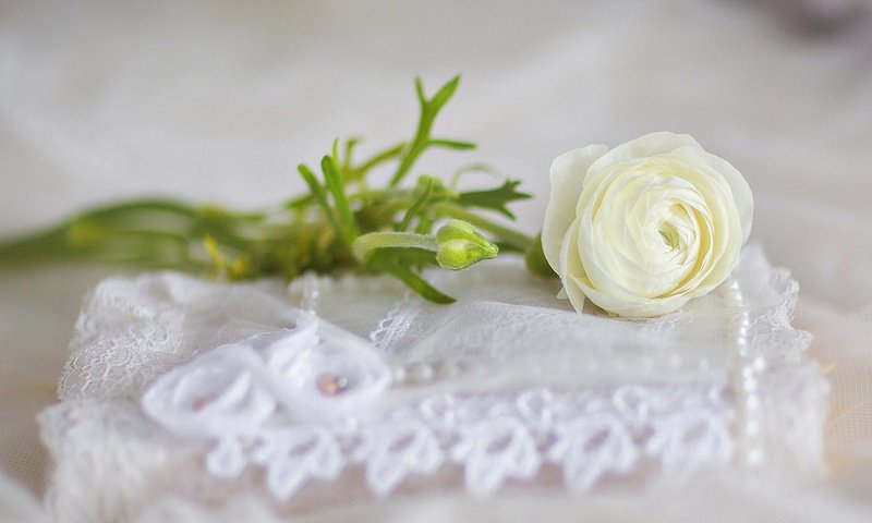 Обои цветы, розы, свадьба, flowers, roses, wedding разрешение 1920x1200 Загрузить