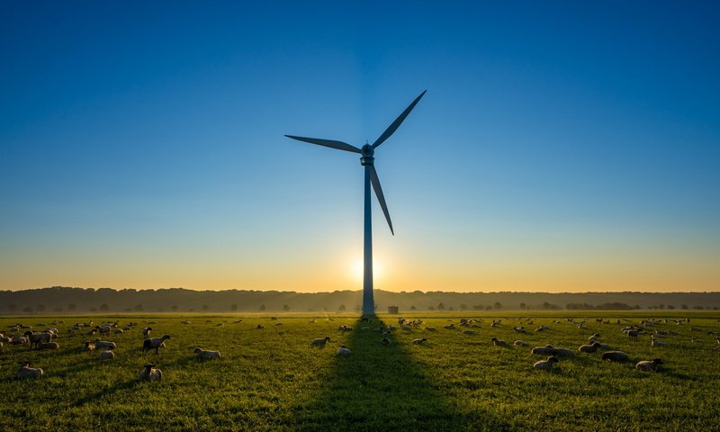 Обои небо, утро, поле, ветряк, овцы, ветряная турбина, the sky, morning, field, windmill, sheep, wind turbine разрешение 1920x1080 Загрузить