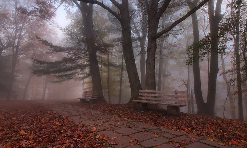 Обои деревья, листья, парк, осень, скамья, trees, leaves, park, autumn, bench разрешение 2048x1342 Загрузить