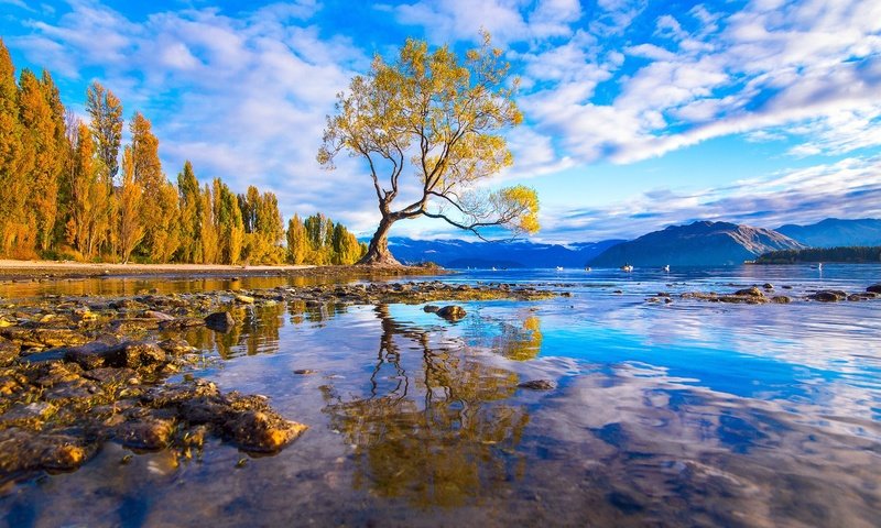 Обои вода, горы, дерево, камни, лес, отражение, оезро, water, mountains, tree, stones, forest, reflection, outro разрешение 1920x1087 Загрузить