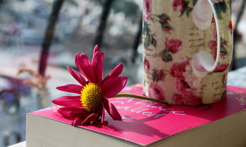 Обои цветок, лепестки, кружка, розовые, чашка, книга, flower, petals, mug, pink, cup, book разрешение 2560x1600 Загрузить