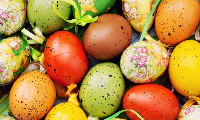 Обои пасха, яйца, глазунья, декорация, зеленые пасхальные, довольная, easter, eggs, decoration, happy разрешение 2880x1920 Загрузить
