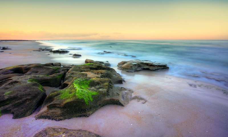 Обои камни, море, мох, прибой, stones, sea, moss, surf разрешение 4134x2579 Загрузить