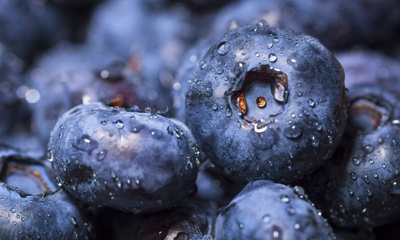Обои макро, ягоды, черника, macro, berries, blueberries разрешение 2048x1365 Загрузить