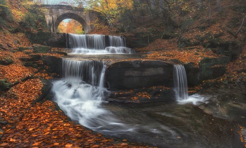 Обои река, листья, мост, водопад, осень, каскад, болгария, river, leaves, bridge, waterfall, autumn, cascade, bulgaria разрешение 2048x1228 Загрузить