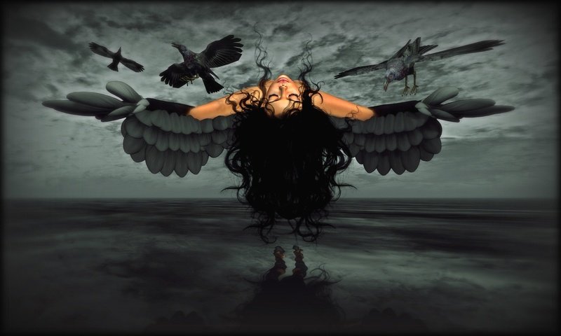 Обои девушка, крылья, вороны, girl, wings, crows разрешение 2048x1229 Загрузить