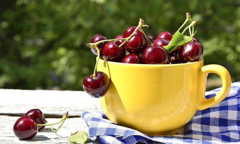 Обои черешня, ягоды, вишня, чашка, жёлтая, cherry, berries, cup, yellow разрешение 2400x1590 Загрузить