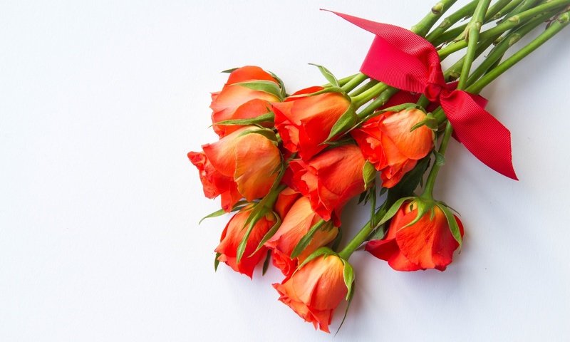 Обои розы, красный, букет, бант, roses, red, bouquet, bow разрешение 2048x1365 Загрузить