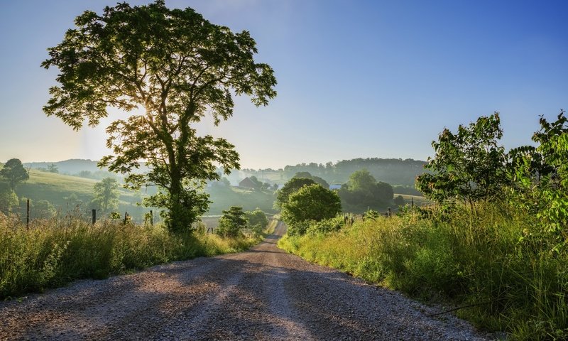 Обои дорога, природа, дерево, пейзаж, утро, рассвет, road, nature, tree, landscape, morning, dawn разрешение 2880x1800 Загрузить