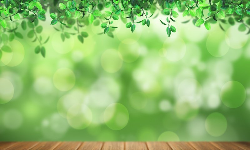 Обои свет, листья, листва, доски, зеленый фон, боке, light, leaves, foliage, board, green background, bokeh разрешение 5777x5716 Загрузить