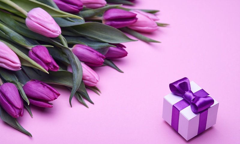 Обои букет, влюбленная, тюльпаны, пинк, розовые, лиловая, подарок, романтик, бант, тульпаны,  цветы, парное, fresh, bouquet, love, tulips, purple, pink, gift, romantic, bow, flowers разрешение 4992x3328 Загрузить
