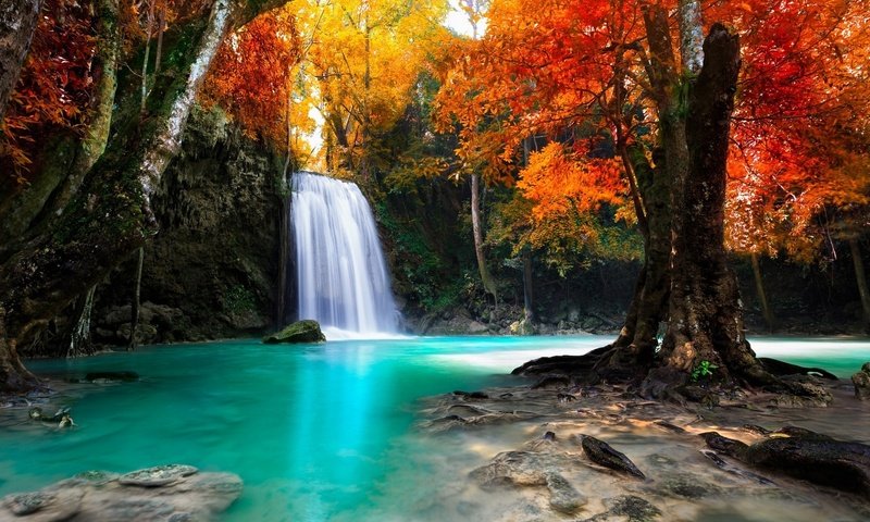 Обои деревья, природа, водопад, осень, тропики, trees, nature, waterfall, autumn, tropics разрешение 1920x1200 Загрузить