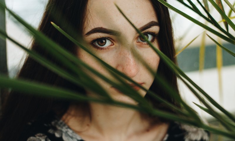 Обои глаза, природа, девушка, портрет, весна, лицо, веснушки, eyes, nature, girl, portrait, spring, face, freckles разрешение 5184x3456 Загрузить